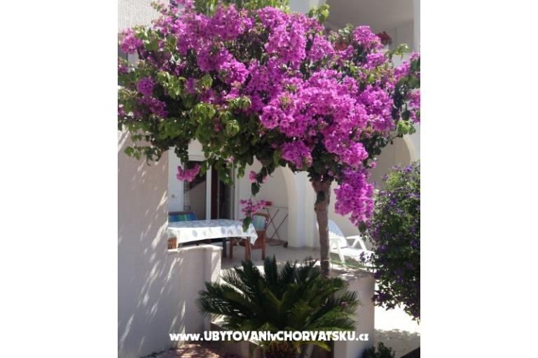 Villa Orij Ferienwohnungen – foto 5