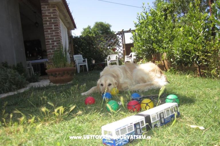 Apartment Flora – foto 14