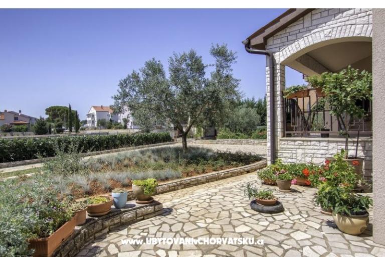 Apartment NIKOLIC – foto 2
