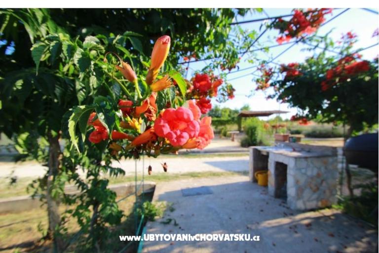 Apartment Sandra  – foto 11