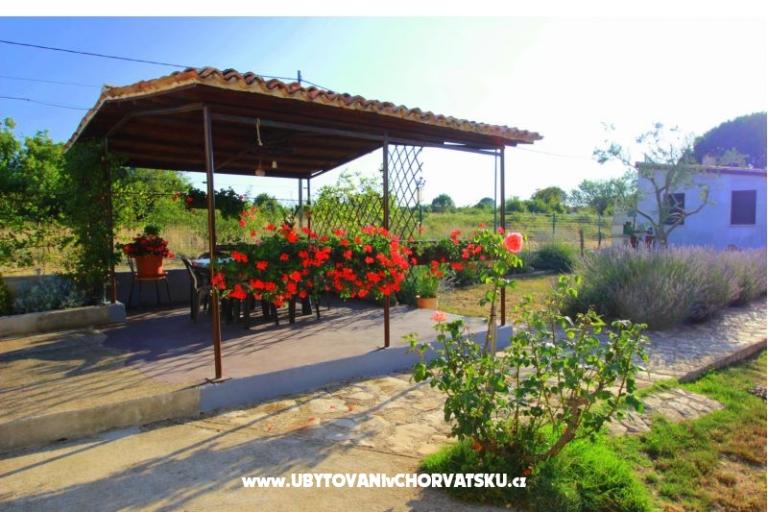 Apartment Sandra  – foto 8