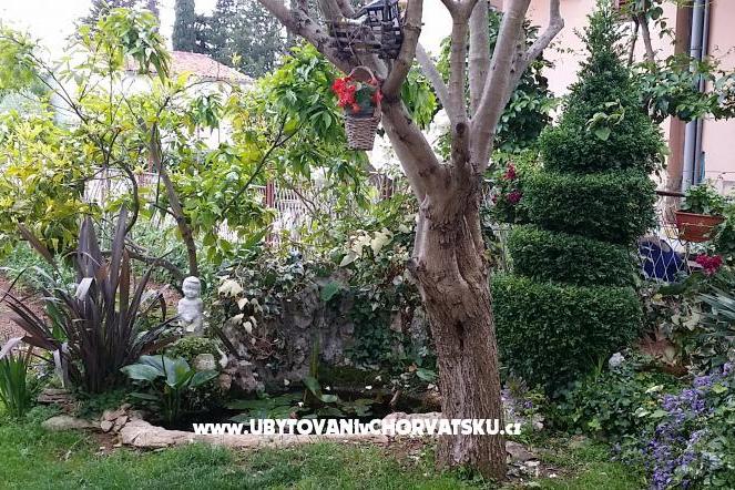 Apartment Ljuba – foto 2