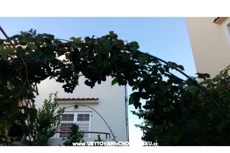 Appartements Matej – foto 14