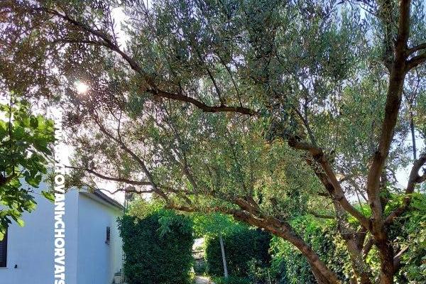 Ferienhaus - Apartment Milka – foto 13