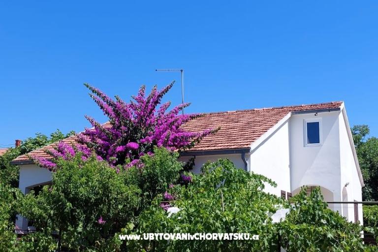 Ferienhaus - Apartment Milka – foto 2