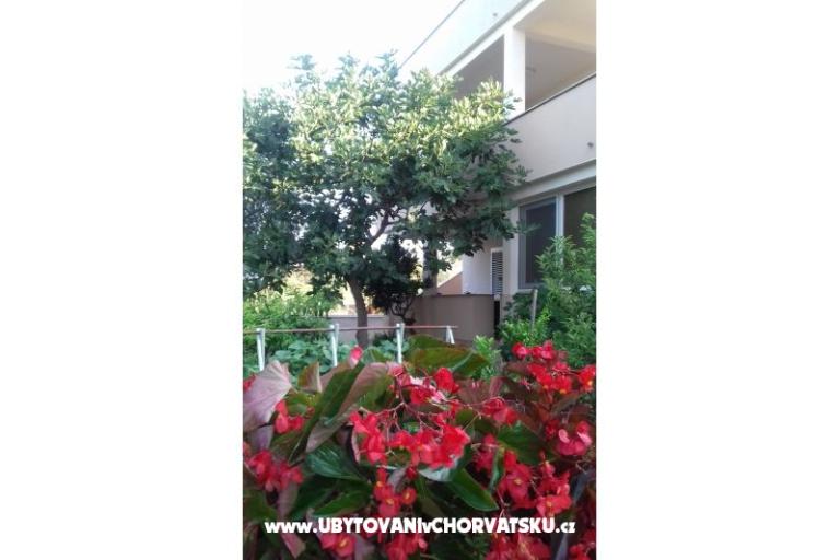 Apartment   " ARZENŠEK " – foto 12