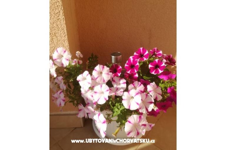 Appartements Colić – foto 9