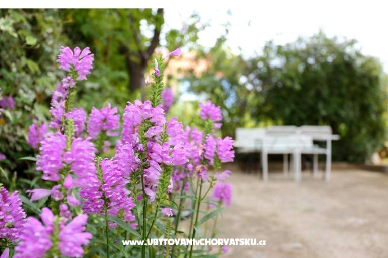 Ferienwohnungen M – foto 8