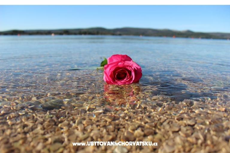 Beach Haus Amarella – foto 14