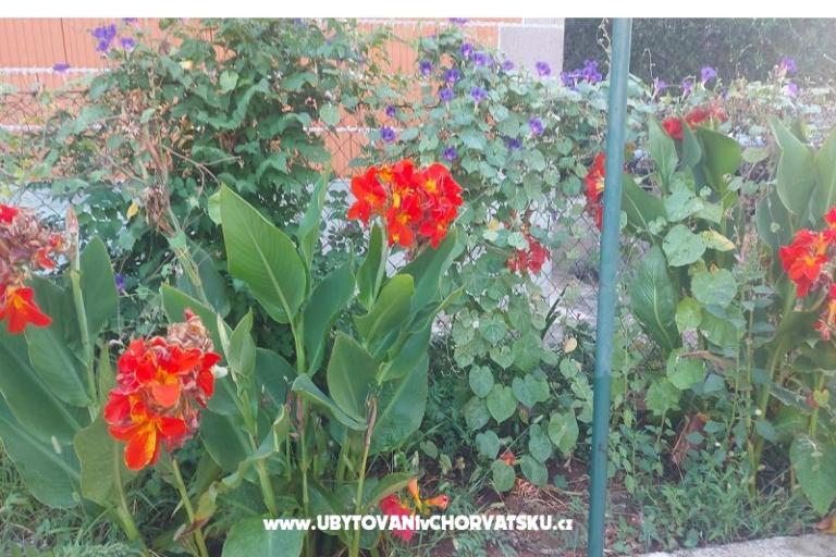 Appartements Misulic Turanj – foto 16