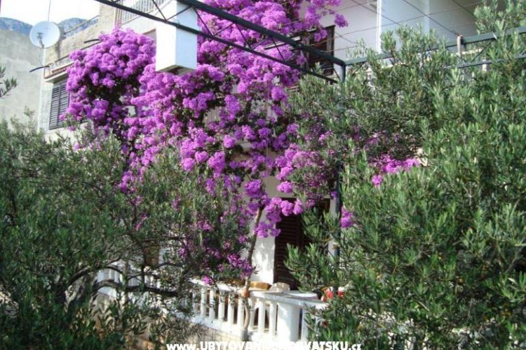 Apartment Gradac Falak – foto 13