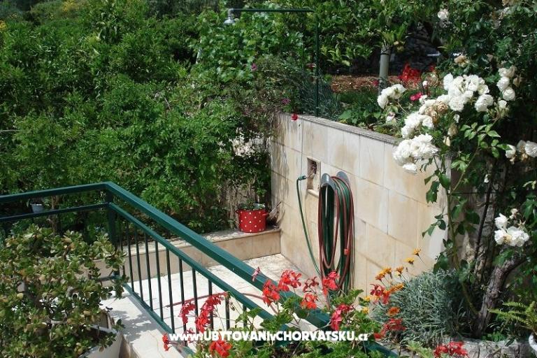 Appartements Ivana  – foto 4