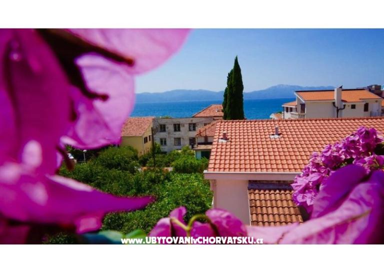 Ferienwohnungen Jerković Gradac – foto 8