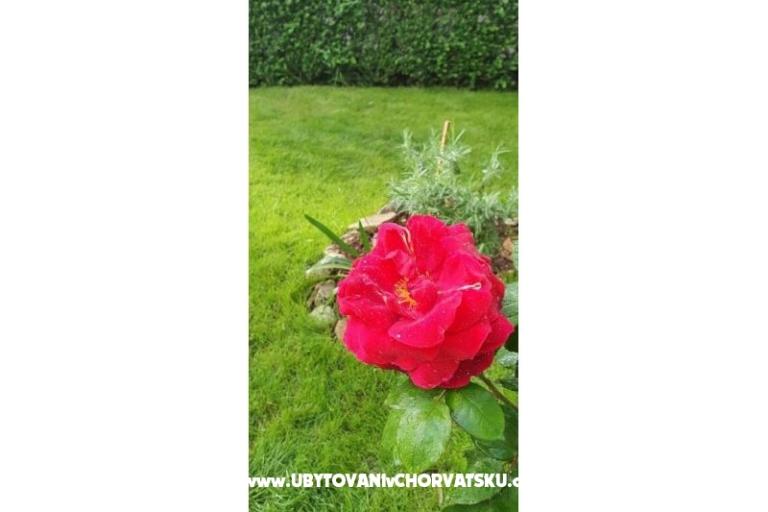 Appartement Toth – foto 11