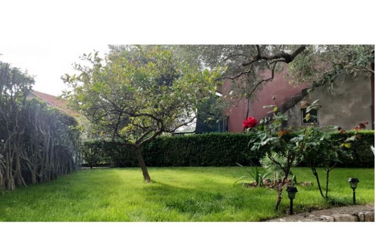 Appartement Toth – foto 9