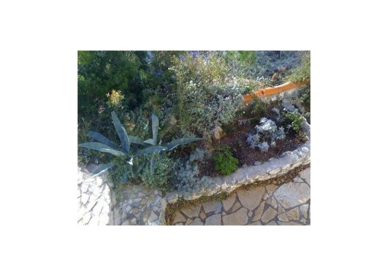 Dijana Beach Haus – foto 15