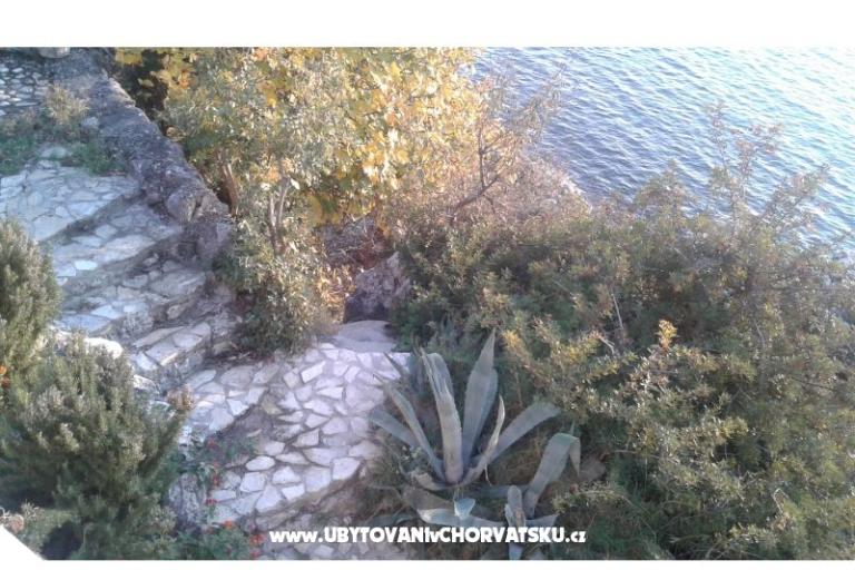 Dijana Beach Haus – foto 7