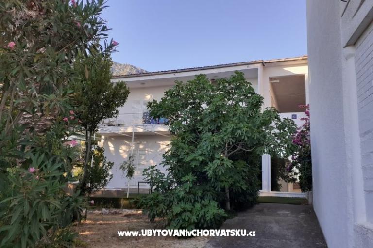 Zimmers Katja Gradac center – foto 6