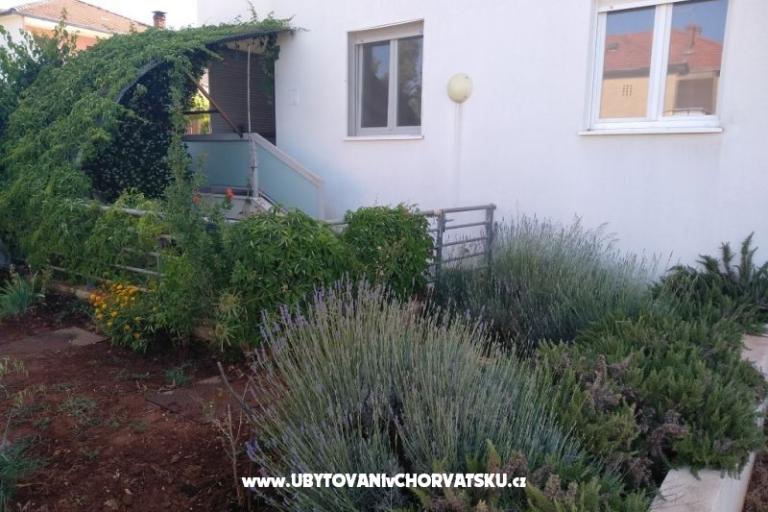 Apartment Paiz – foto 2