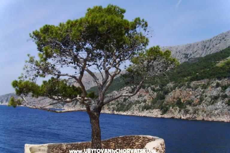 Appartements Anja – foto 7