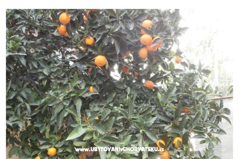 Ferienwohnungen Bogović – foto 18