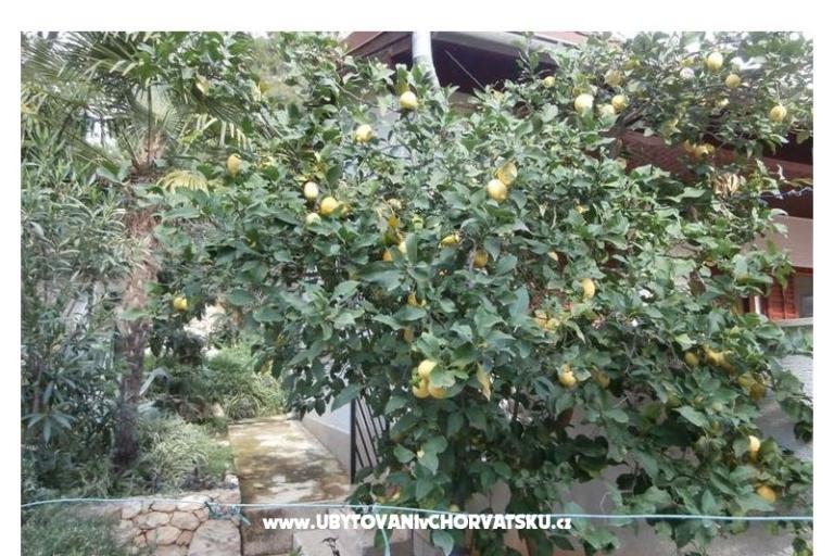Ferienwohnungen Bogović – foto 20