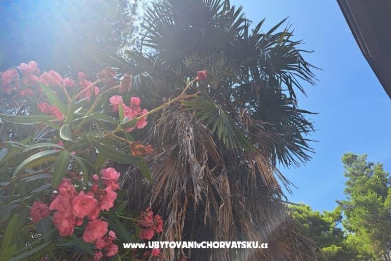 Ferienwohnungen Bogović – foto 28