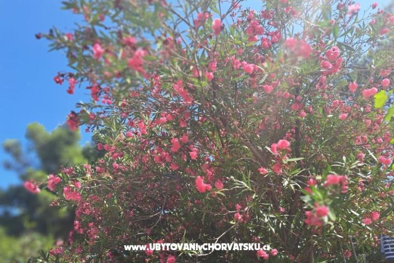 Ferienwohnungen Bogović – foto 32