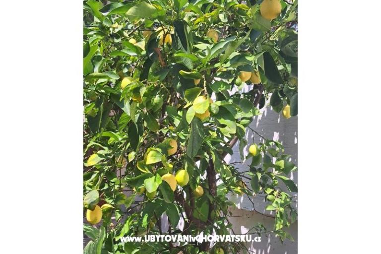 Ferienwohnungen Bogović – foto 33