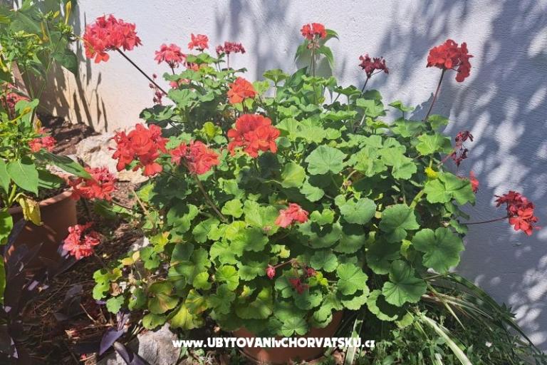 Ferienwohnungen Bogović – foto 35
