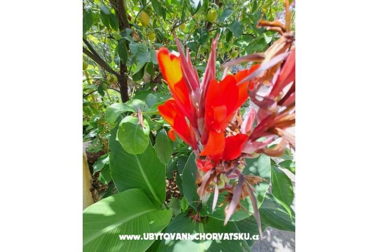 Ferienwohnungen Bogović – foto 37