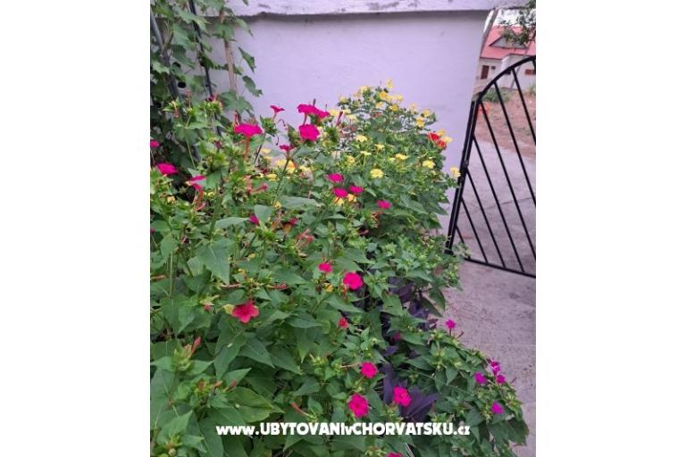 Ferienwohnungen Bogović – foto 42