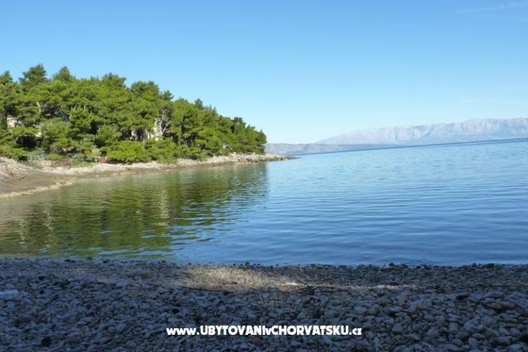 FerienwohnungenNikolinaGrgicevic – foto 7