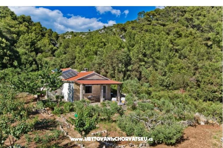 Haus Patrizia – foto 13