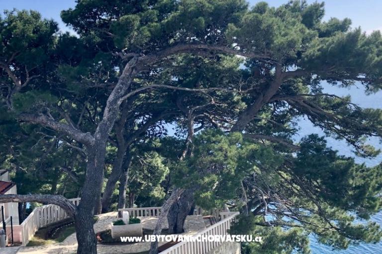 Appartements  Ines – foto 7