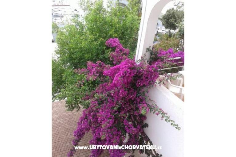 Appartements Lile – foto 6