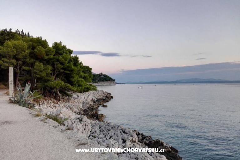 Appartements Ribica 1 – foto 10