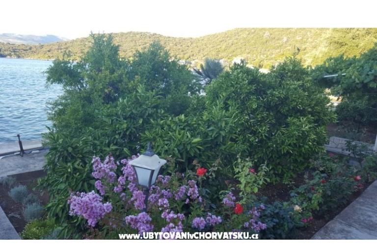 Appartements Ruža – foto 9