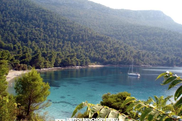 Ferienwohnungen Trstenik – foto 8