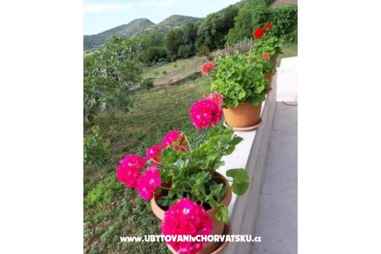 Gardenia Haus – foto 11