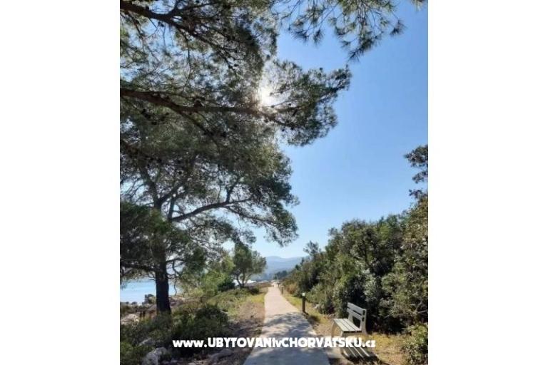 Gardenia Haus – foto 13