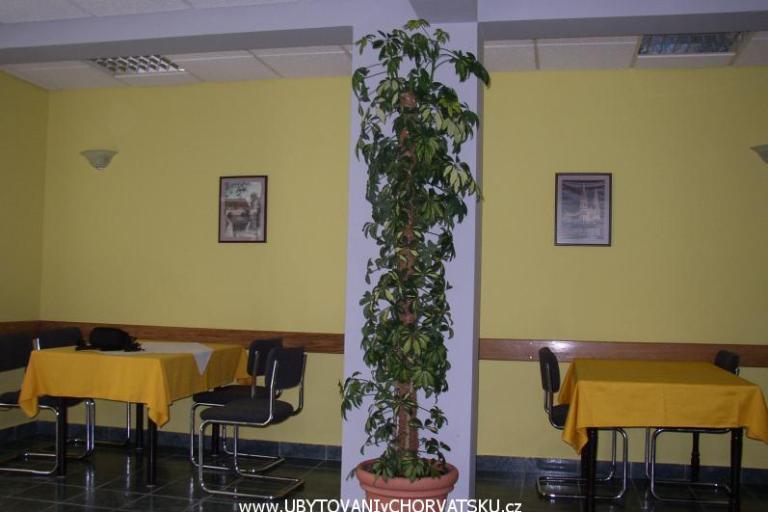 Villa Filipovic – foto 6