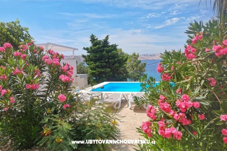 Ferienwohnungen Anita with Pool – foto 7