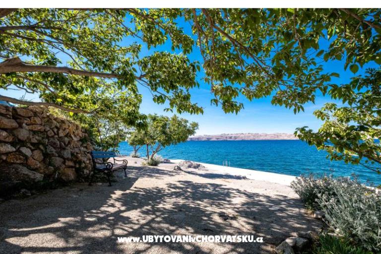 Haus Petra am Strand – foto 21