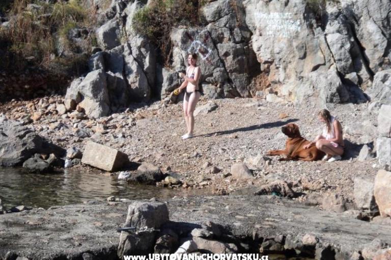 Villa Liza – foto 11