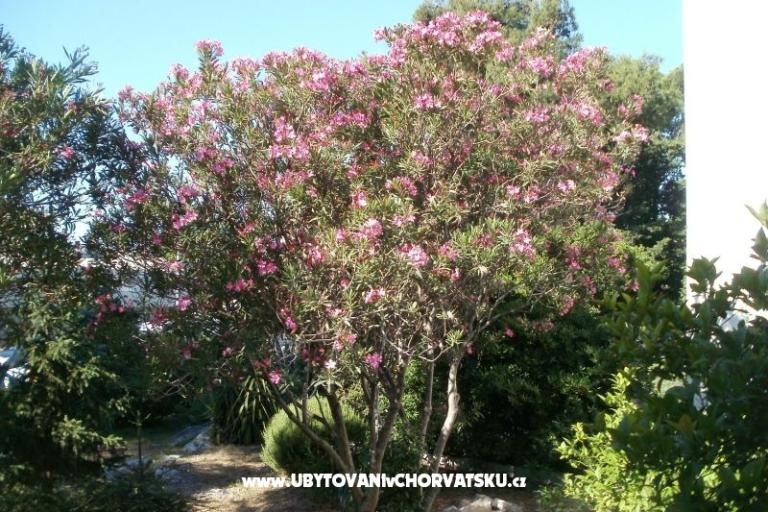 Appartements Grgin – foto 4