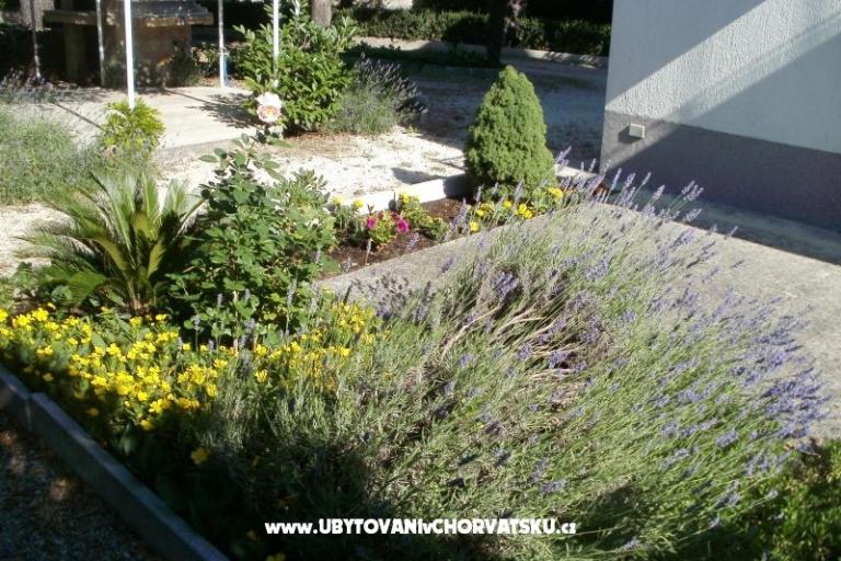 Appartements Grgin – foto 5