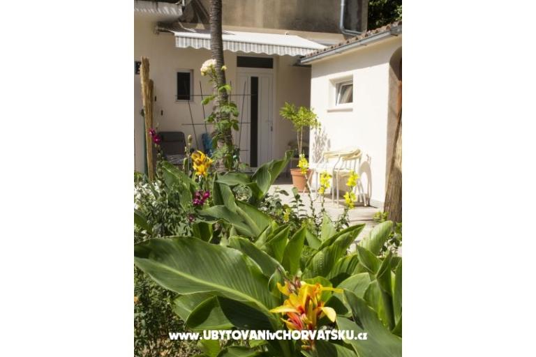 Ferienwohnungen Bugenvilla – foto 11