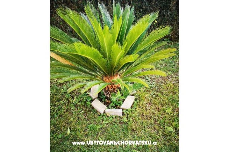 Ferienwohnungen Haus Valentin – foto 33