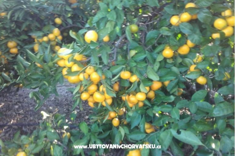 Appartements Alfijo – foto 10